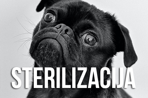STERILIZACIJA